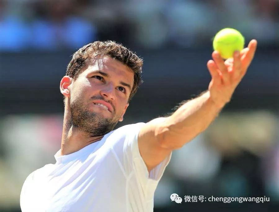 球队在过去 球队在过去